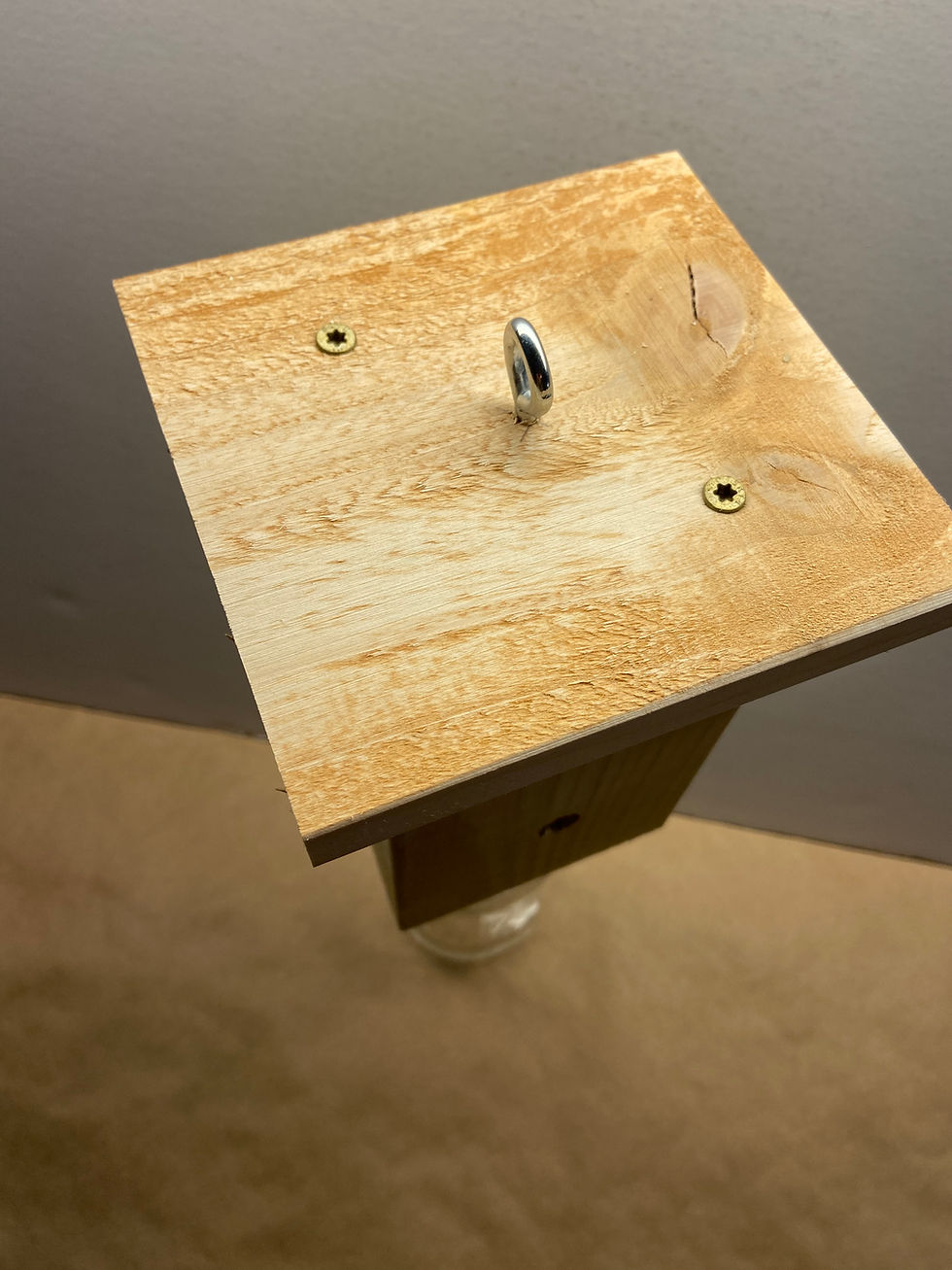 Thumbnail: Carpenter Bee Traps