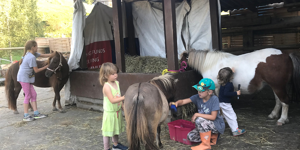 PONYPLAUSCH - LAGER 04.09.2021 -07.09.2021 09.00am-16.00am