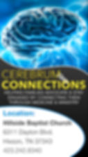 cerebrum connections half.jpeg