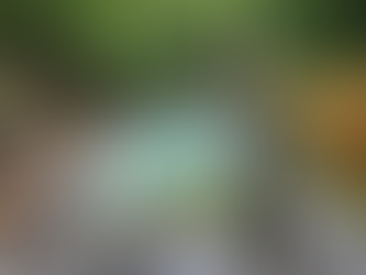 Onsen and Sento Etiquette: A Survival Guide to the Japanese Bathhouse