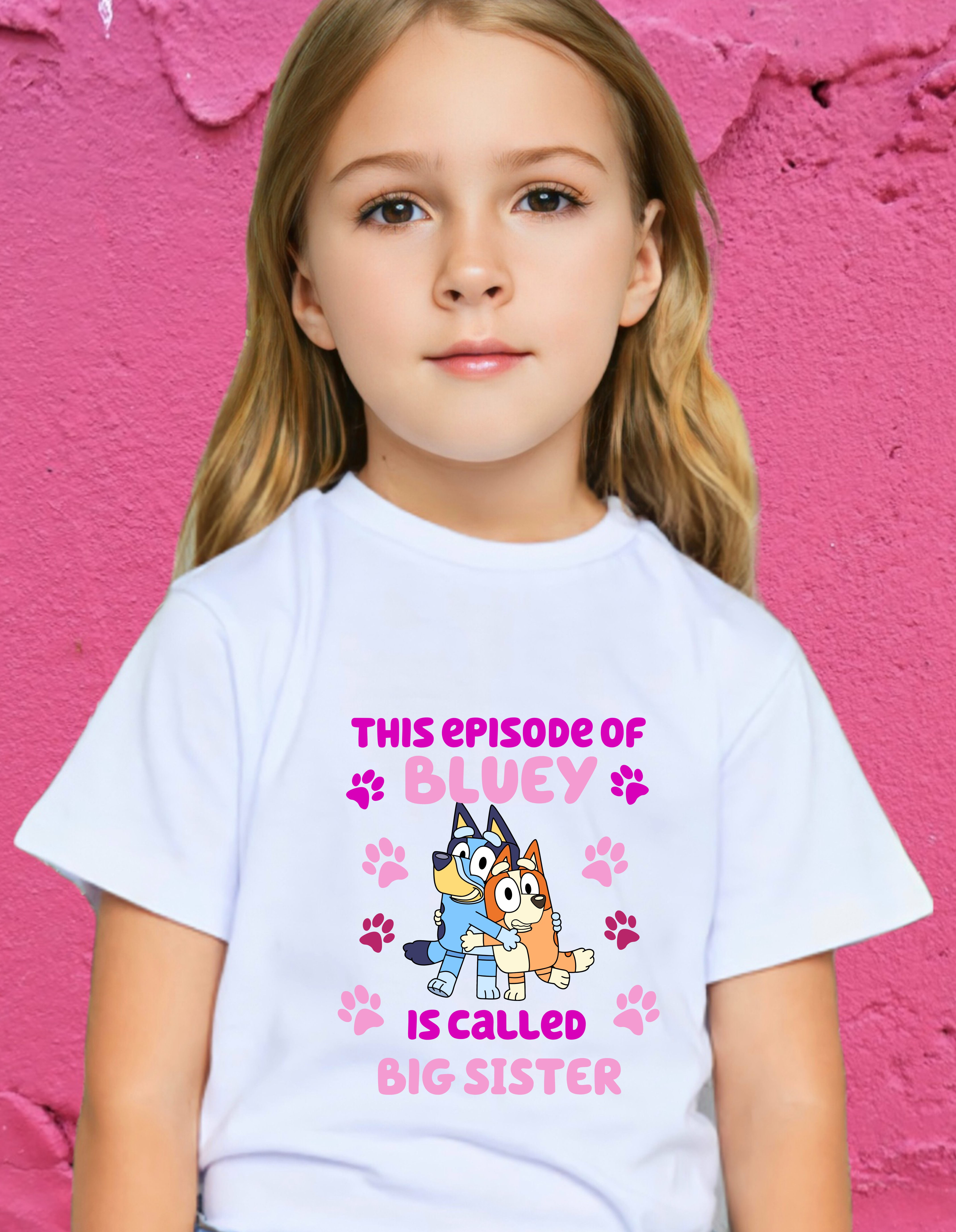 Bluey Tshirts - Big Brother or Big Sister