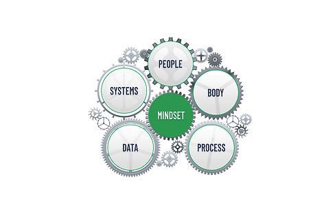 06-Image-Expertise & Experience