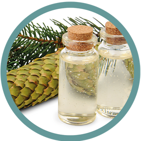Abies Holophylla - Fichtennadelöl