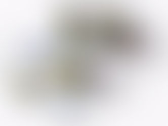 Первая коллекция "Hey, Hare!"