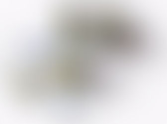 Первая коллекция "Hey, Hare!"