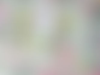 Съемка коллекции Hey, Hare!