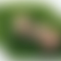 It's crazy! It's unbelievable! This is the future! The next big thing in the food world: