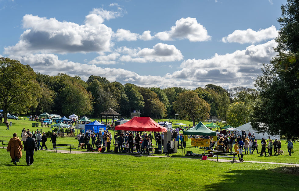 Green festival report