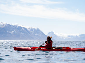 Guest kayaking across the calm waters near Camp Kiattua, surrounded by mountains in Nuuk Fjord, Greenland.