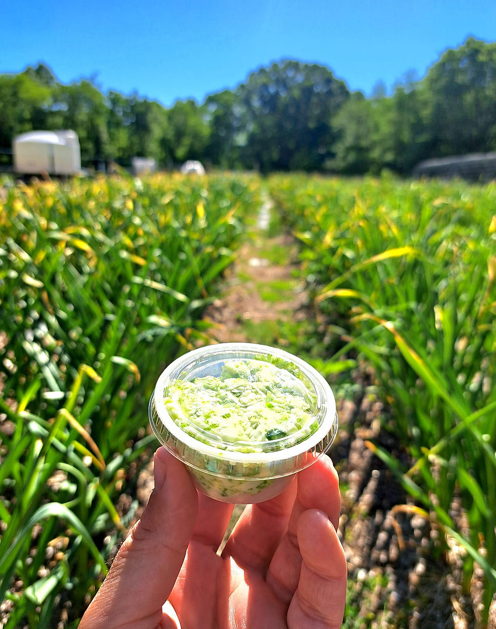Thumbnail: Garlic Scape Butter Workshop - Saturday, June 13th at 6:30pm