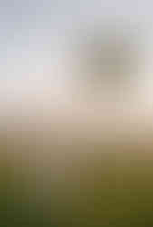 mountain wedding day photos