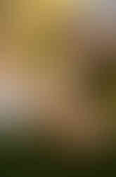 Bride and groom picnic