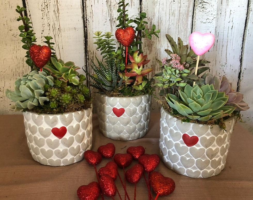 Red Heart Succulent Planter
