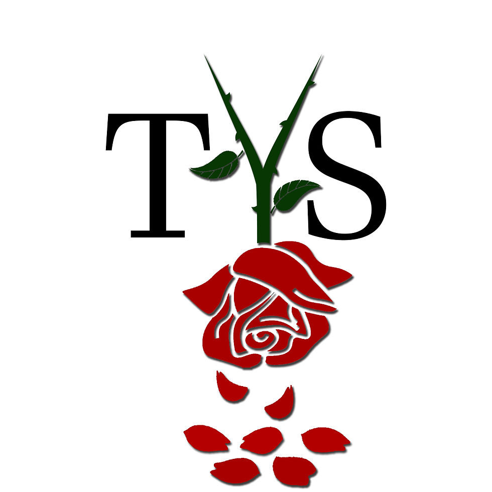 The Y Solution Logo Acronym