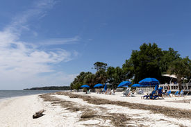 Photo from Palmetto Bluff, South Carolina