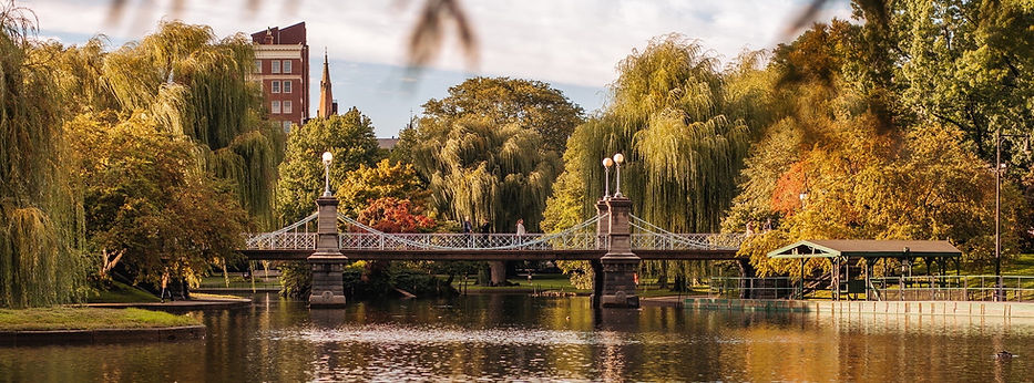 BOS_1299_original copy.jpg