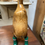 Thumbnail: WOODEN BAMBOO DUCK IN HUNTER WELLIES