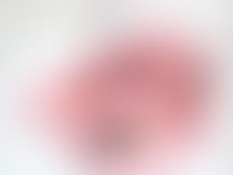 Top 6 Multitasking Palettes for Travel (All under $45)