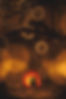 C&M-379_websize.jpg