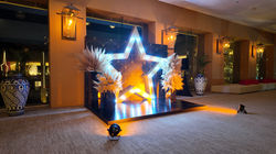 Estructura decorativa en forma de estrella con luces led y arreglos de pampas grass para un photo op