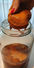 Kombucha chá probiótico