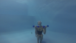 Screen Shot 2015-12-22 at 12.02.50 PM