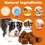 Thumbnail: 2 FOR £11 Joint Hip Aid with Glucosamine for Dogs 120 Duck Chews