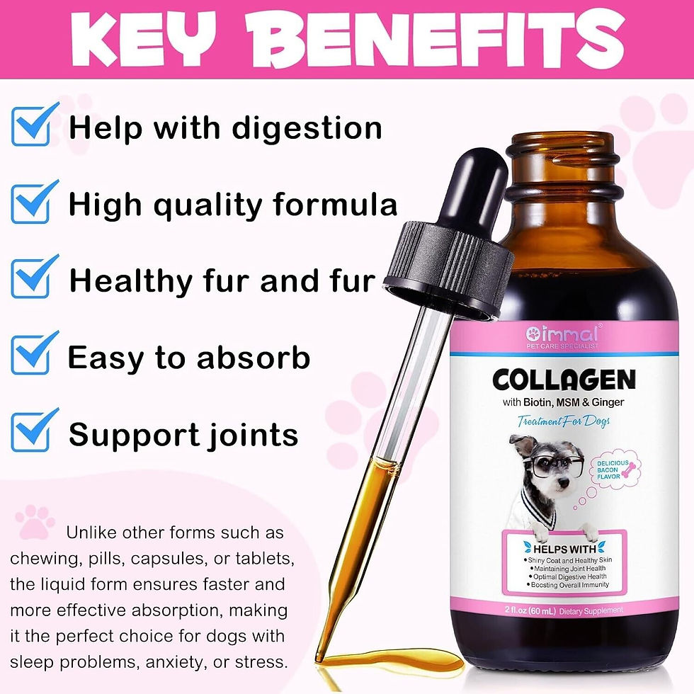 Thumbnail: Oimmal Collagen Drops with Biotin, MSM & Ginger for Dogs 2 for £22 bundle