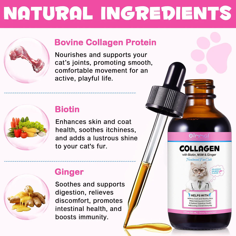 Thumbnail: Collagen Drops with Biotin, MSM & Ginger for Cat 60ml