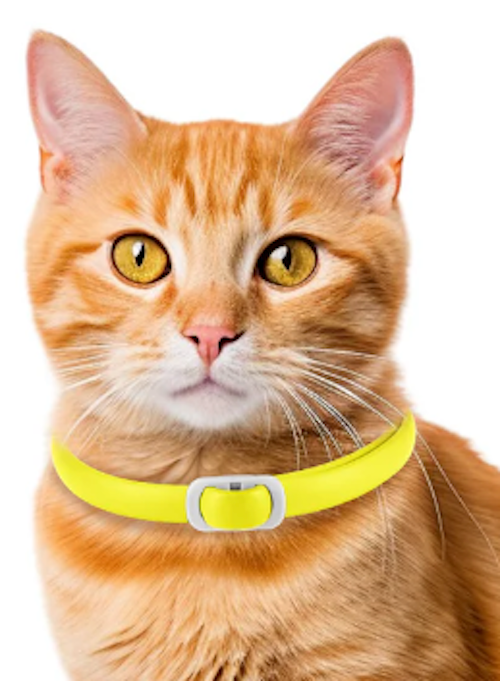 Oimmal Flea & Tick Collar for Cats Single Yellow Collar