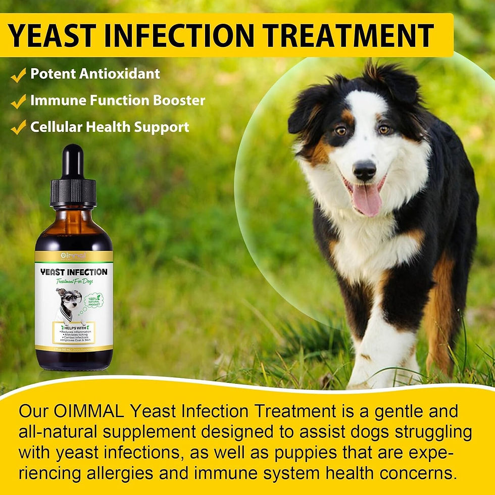 Thumbnail: 2 FOR £20 Yeast Infection Treatment for Dogs  2 x 60ml drops