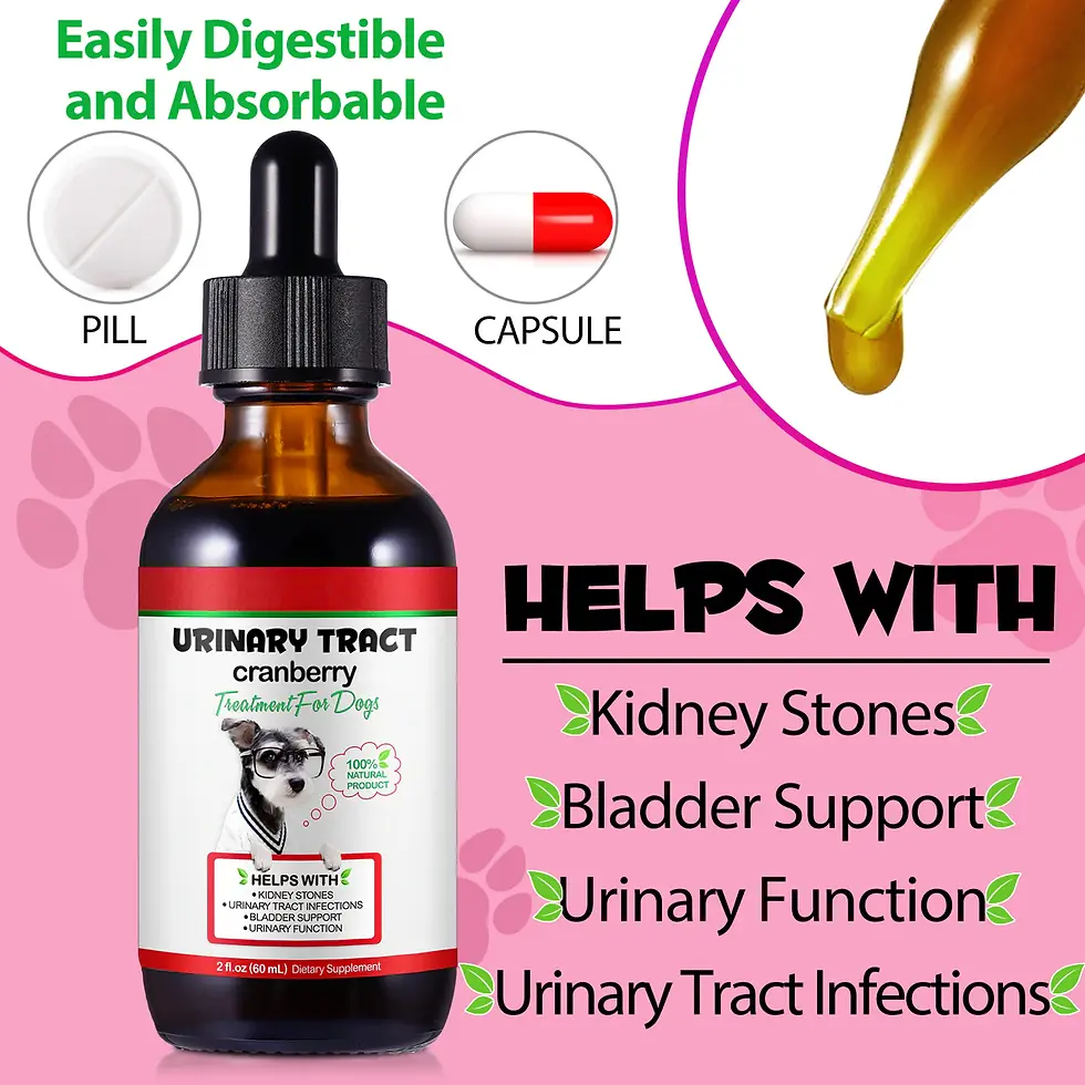 Thumbnail: Oimmal Urinary Tract Treatment for Dogs 60ml drops