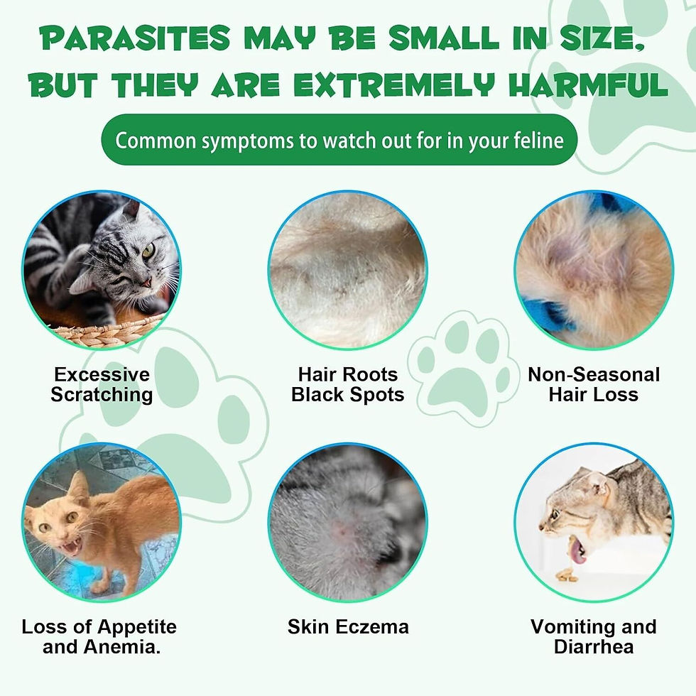 Thumbnail: Oimmal Herbal De Wormer for Cats