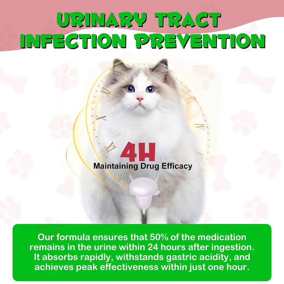 Thumbnail: Oimmal Urinary Tract Treatment for Cats 60ml drops