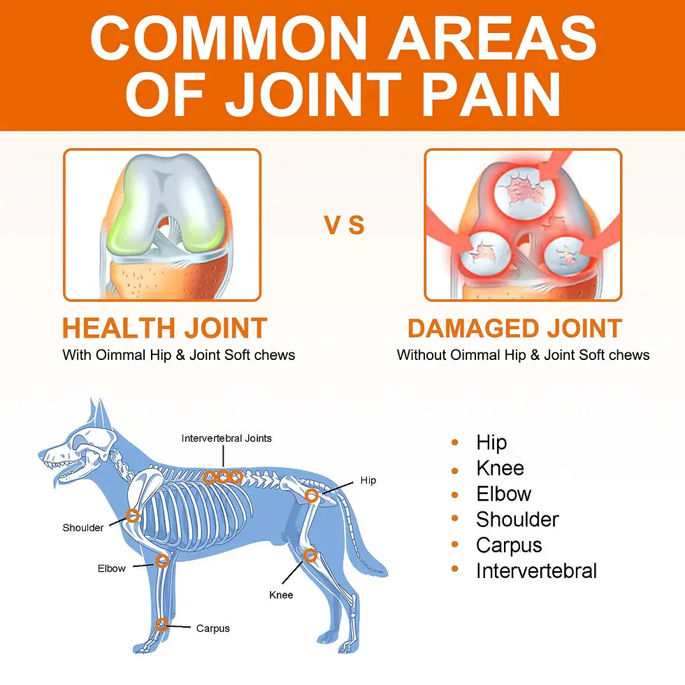 Thumbnail: 2 FOR £11 Joint Hip Aid with Glucosamine for Dogs 120 Duck Chews
