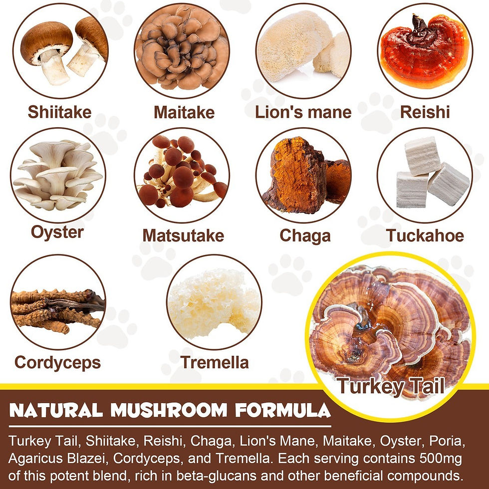 Thumbnail: Oimmal Wild Mushroom Superblend Powder for Cats or Dogs 120g