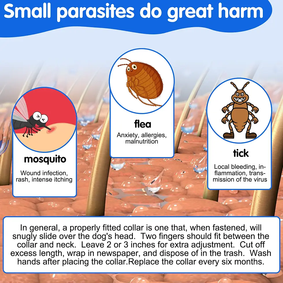 Thumbnail: Oimmal Flea & Tick Collar for DOGS Grey Collar 4 Pack