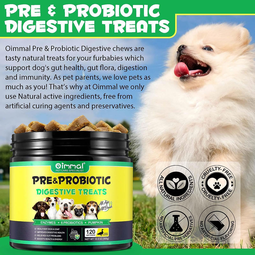 Thumbnail: Oimmal Pre & Probiotic Digestive Treats for Dogs BUNDLE 2 x 120 (240) Duck Chews