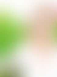 Krásná letní svatba