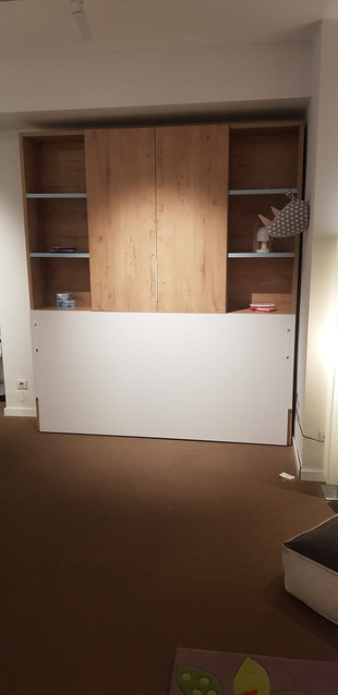 Horizontal Wall Bed