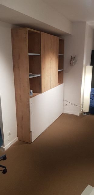 Horizontal Wall Bed
