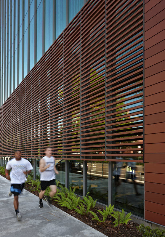Terracotta Sunscreens Telling Arch