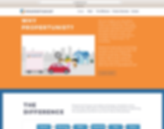 Custom Website Example