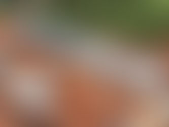 Prazo para preenchimento do Censo Habitacional é prorrogado até 31 de janeiro de 2025