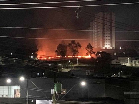 Incêndio provocado ameaça área residencial próximo ao Horto Florestal de PA