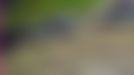 Motorista atropela homem cego com cão-guia em calçada no DF e foge