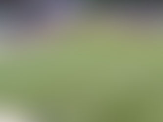 Faltou fair play? Gol do América no momento em que goleiro sente lesão gera polêmica.