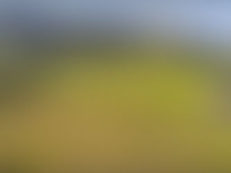 EDITAL DE CONVOCAÇÃO