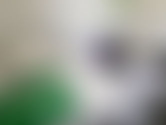 Dupla assalta residência em São Lourenço, foge para Pouso Alegre e é presa