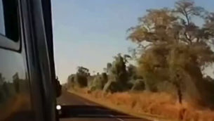 Acidente na BR-163 deixa quatro mortos após colisão entre dois carros